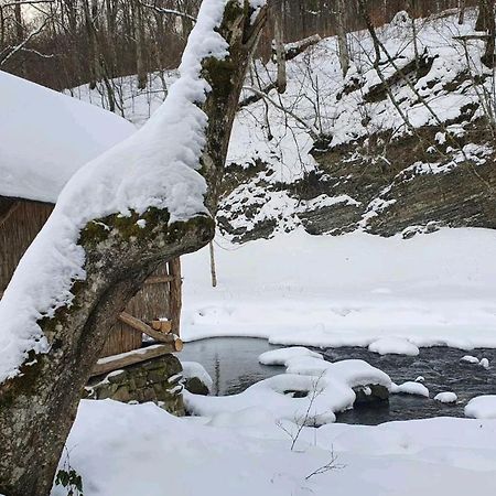 Villa Хатина Біля Потока Lumshory Exterior foto