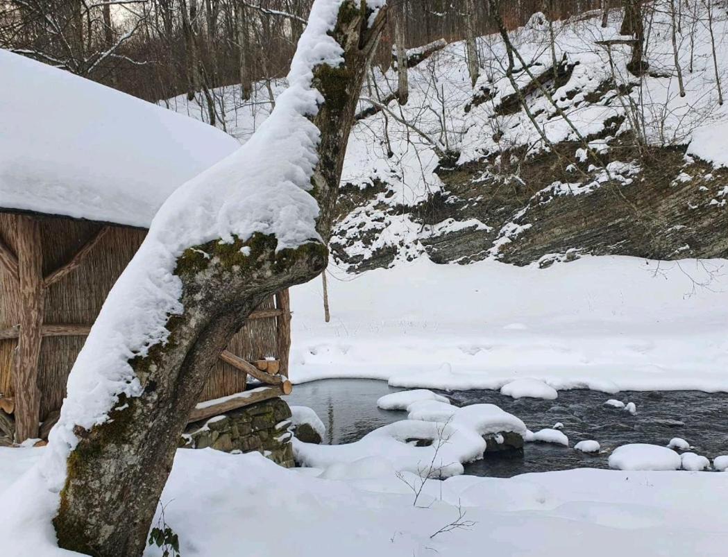 Villa Хатина Біля Потока Lumshory Exterior foto