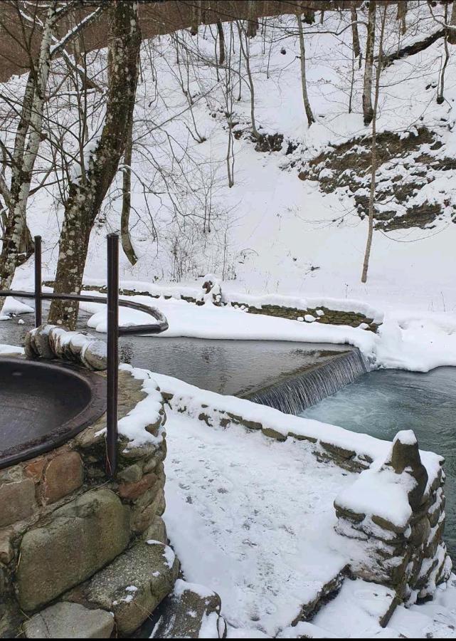 Villa Хатина Біля Потока Lumshory Exterior foto