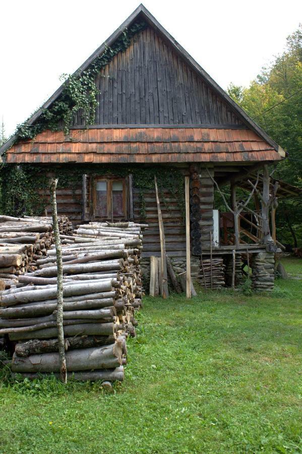Villa Хатина Біля Потока Lumshory Exterior foto